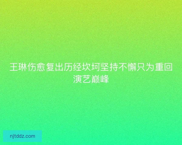 王琳伤愈复出历经坎坷坚持不懈只为重回演艺巅峰