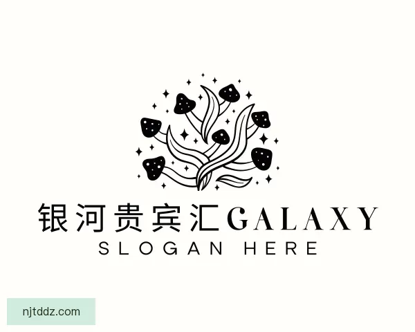 认识银河贵宾汇GALAXY